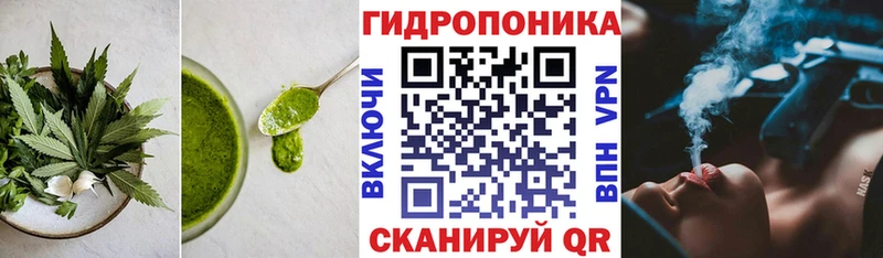 OMG маркетплейс  Лебедянь  Canna-Cookies конопля 