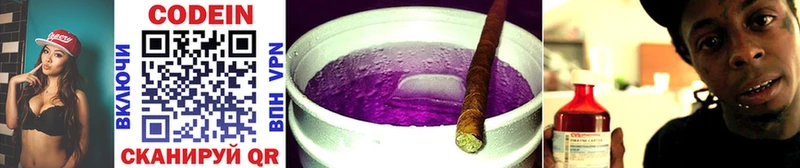купить закладку  ссылка на мегу tor  Кодеиновый сироп Lean Purple Drank  Лебедянь 