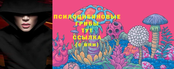 метадон Армянск